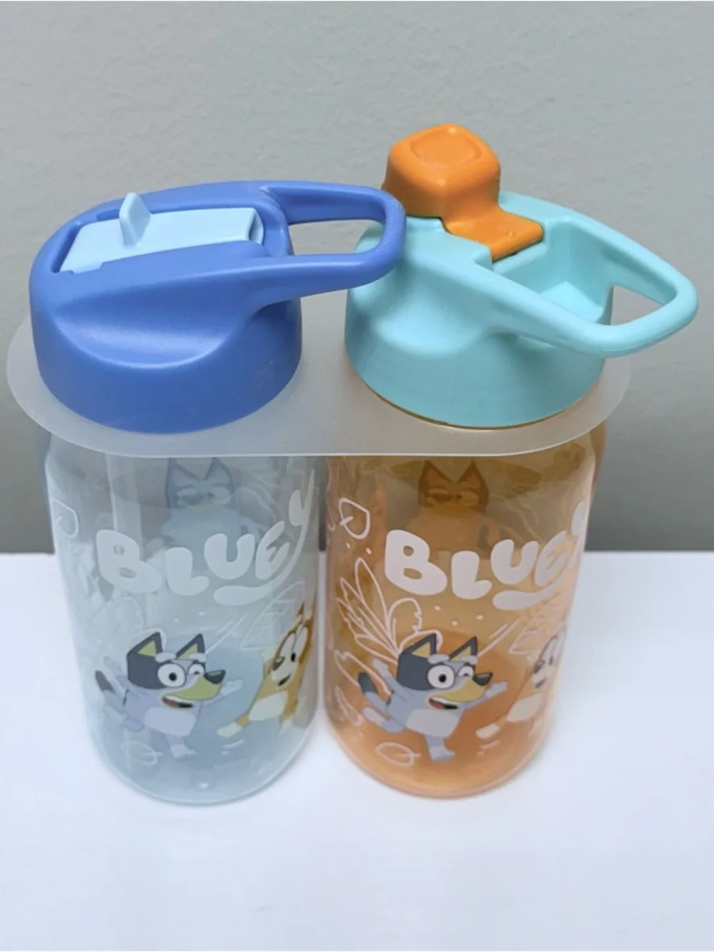 Zak Designs 2pk 16 oz Hydration Bottle Bluey Design, Target Bullseye Playground